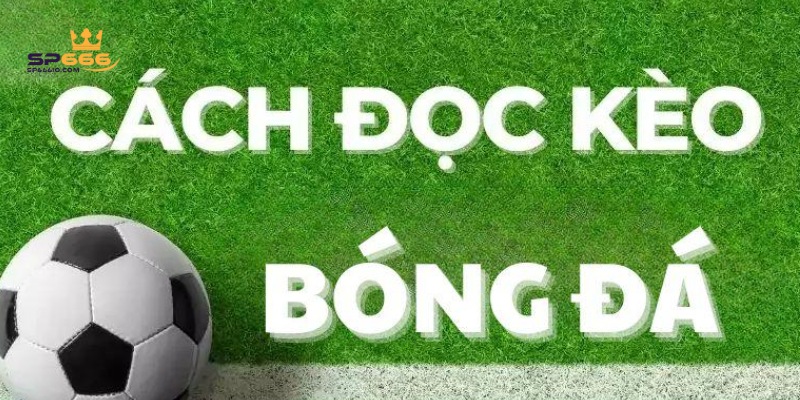 Hiểu rõ 3 loại kèo trong cách đọc kèo nhà cái