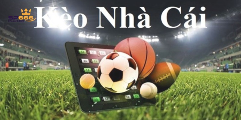 Cách đọc kèo tài xỉu dễ nắm bắt nhất