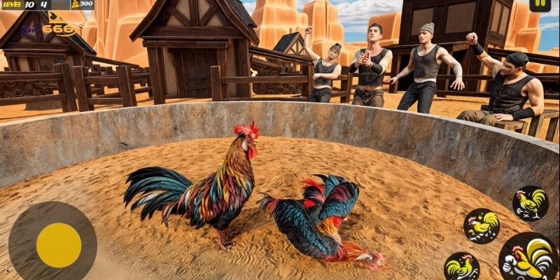 Khám Phá Đá Gà Cựa Dao Hấp Dẫn Và Mẹo Chơi Cược Dễ Thắng Lớn 2 Các quy định cụ thể về cân nặng và thắng thua đúng luật