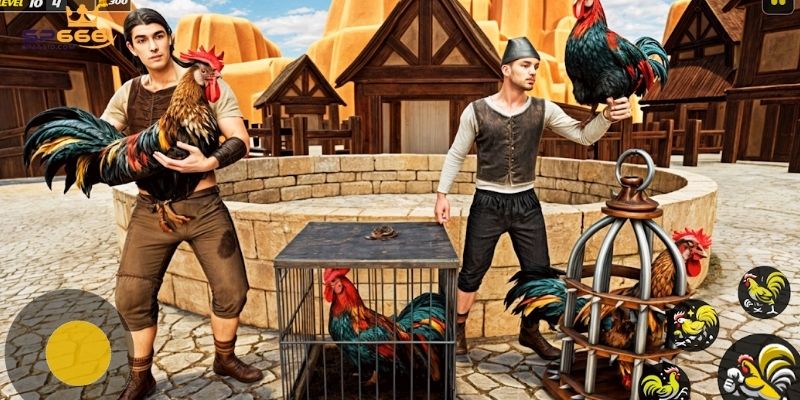 Đá Gà SP666 - Sảnh Chơi Đỉnh Cao Của Các Chiến Kê Kiêu Hùng 3 Các hình thức đá gà hấp dẫn