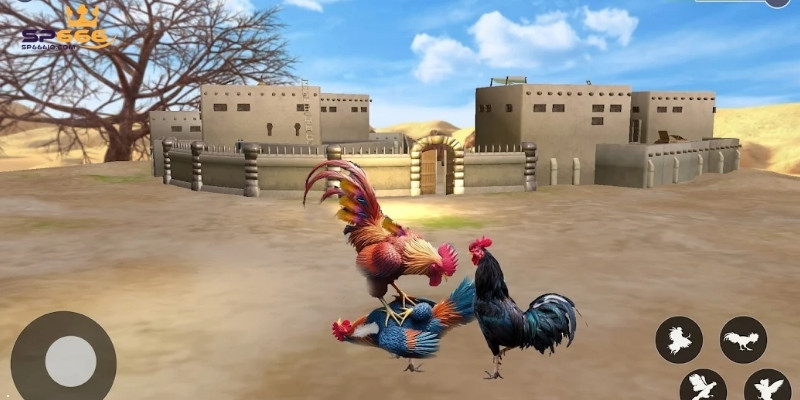 Đá Gà SP666 - Sảnh Chơi Đỉnh Cao Của Các Chiến Kê Kiêu Hùng 4 SP666 cung cấp nhiều hình thức đá gà cho hội viên