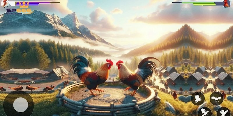 Đá Gà SP666 - Sảnh Chơi Đỉnh Cao Của Các Chiến Kê Kiêu Hùng 5 Bí quyết cược hiệu quả cho người mới