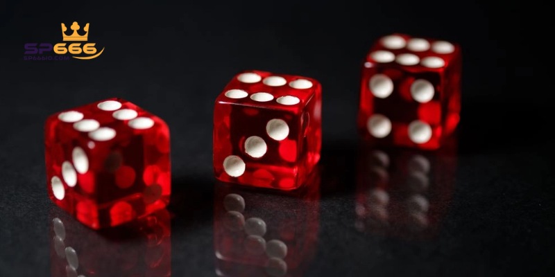 Sơ lược thông tin về bộ môn Tài xỉu SP666