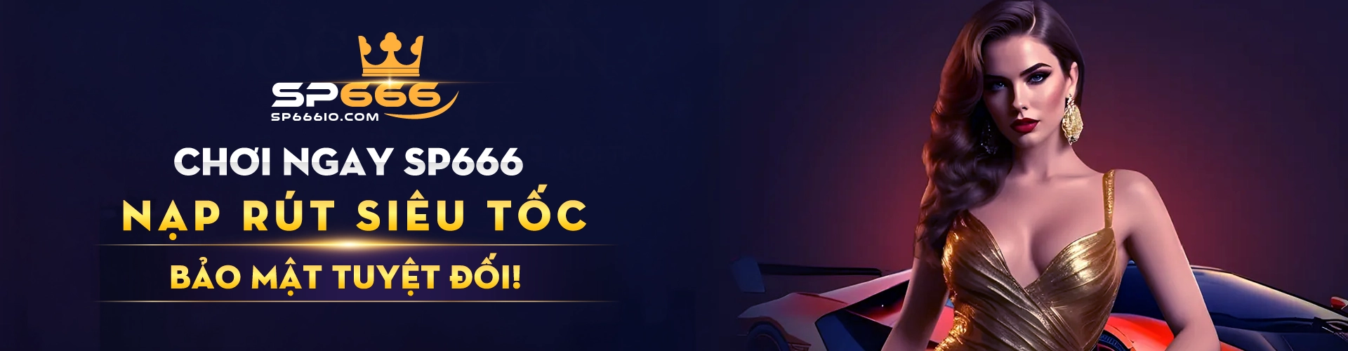 banner sp666